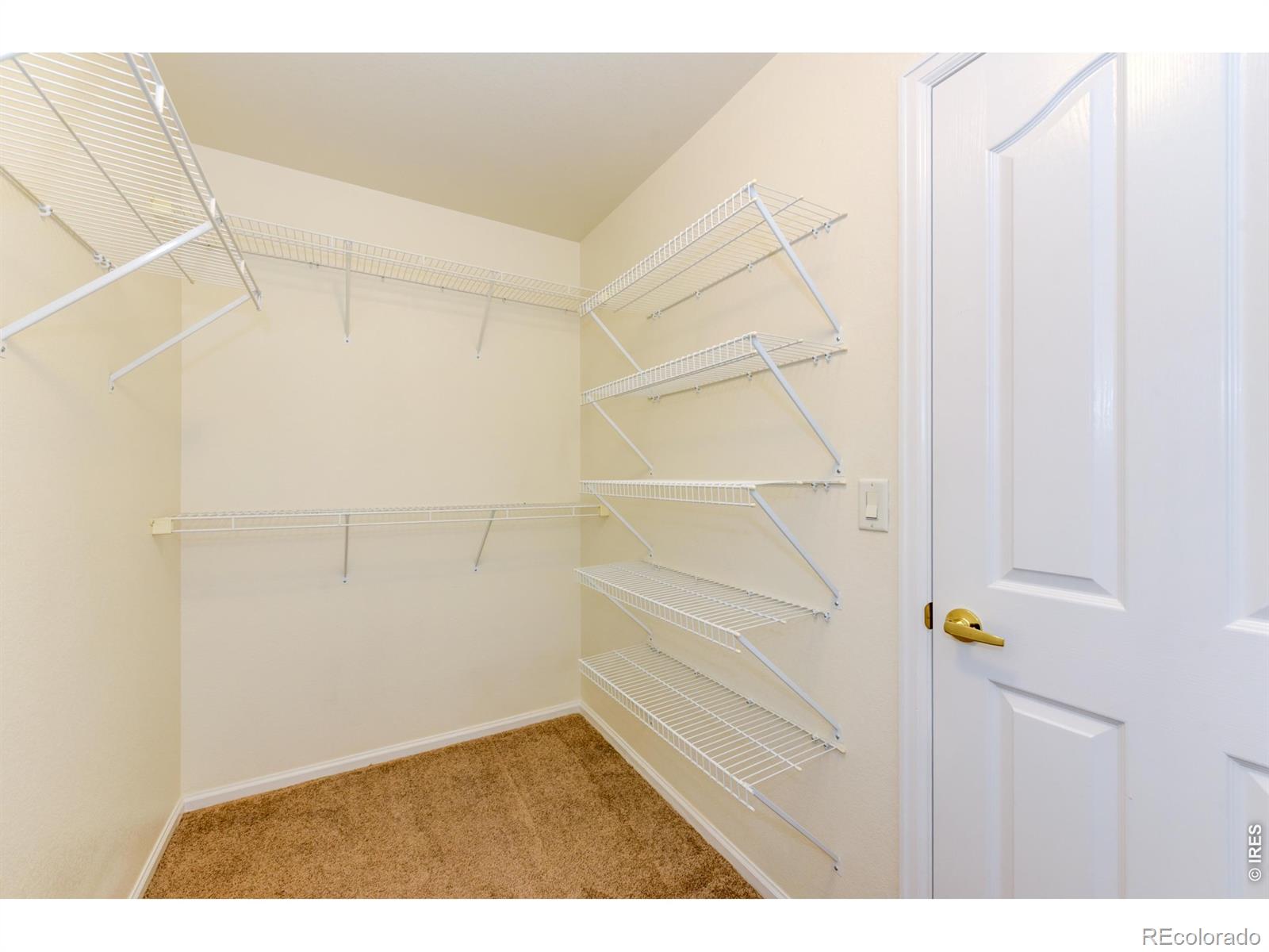 MLS Image #19 for 2800  whitetail circle,lafayette, Colorado
