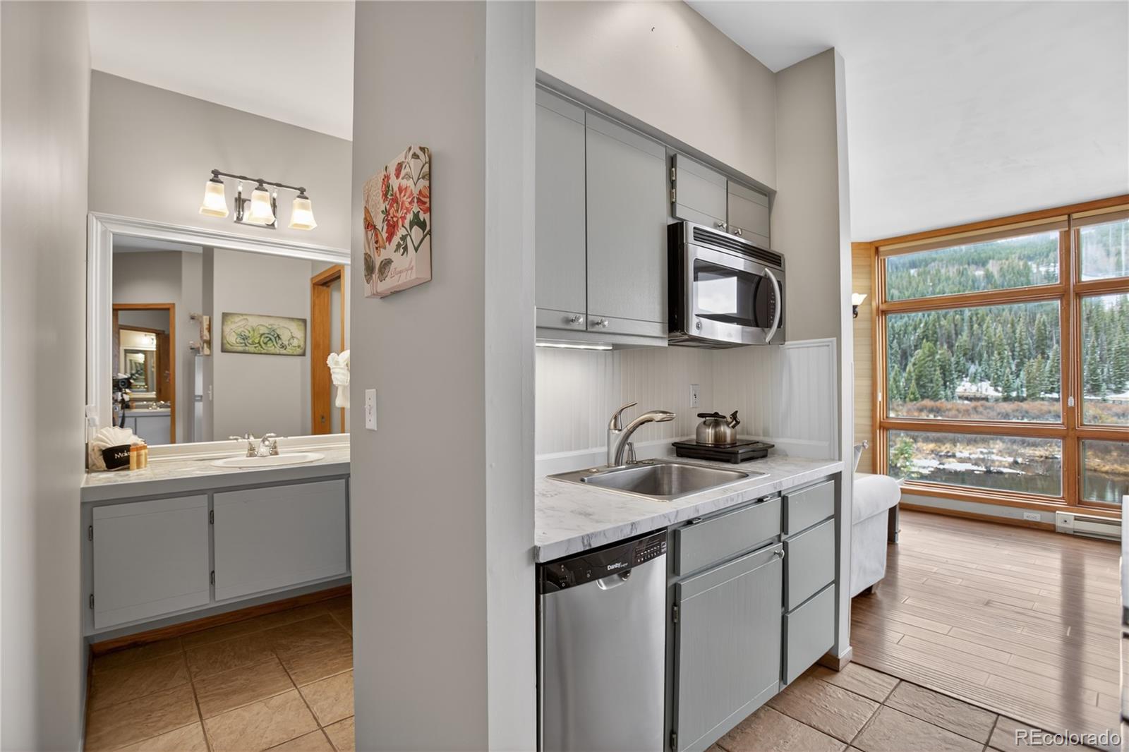 MLS Image #6 for 24  river run road,dillon, Colorado