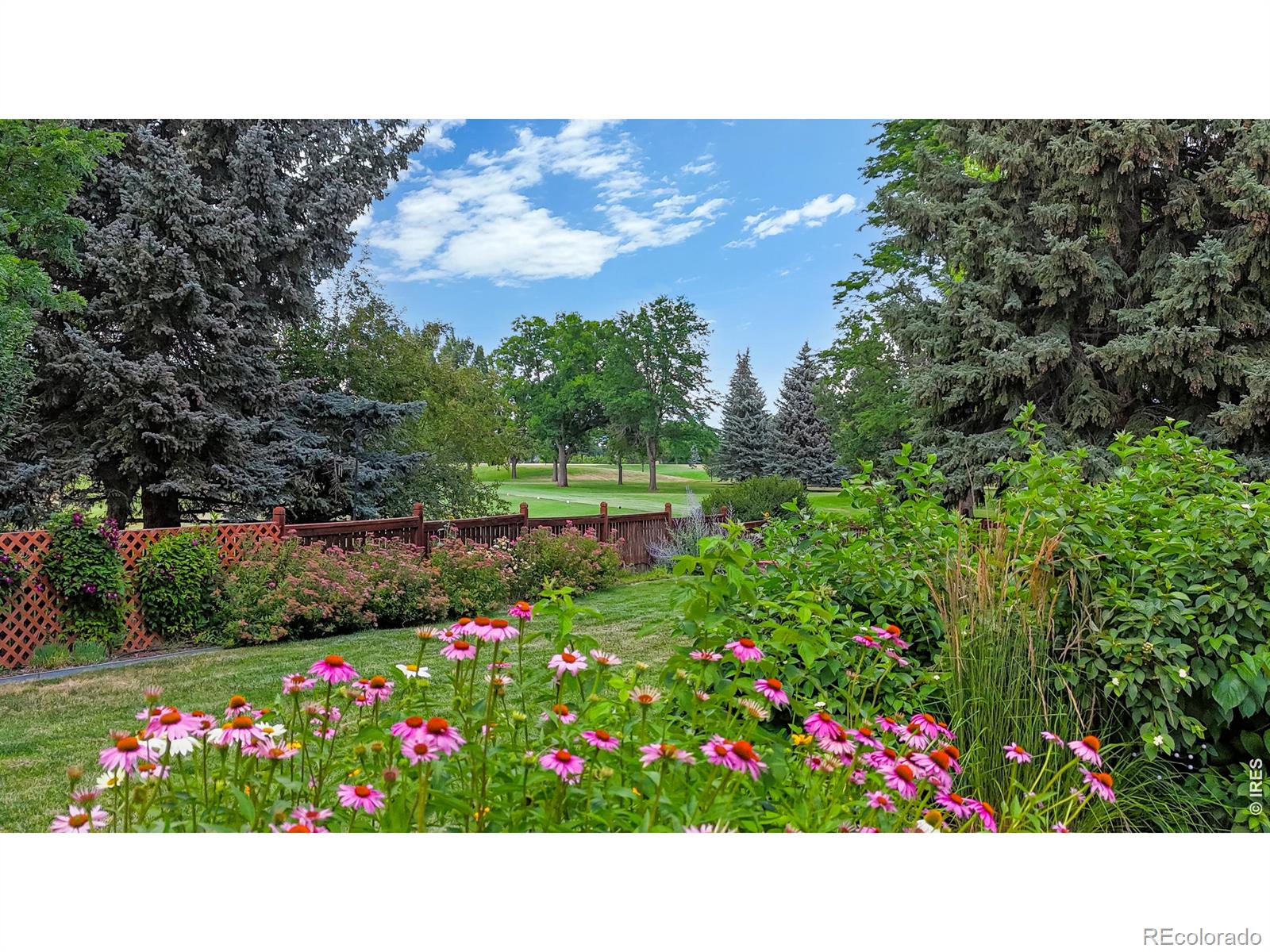 MLS Image #28 for 1412  ticonderoga drive,fort collins, Colorado