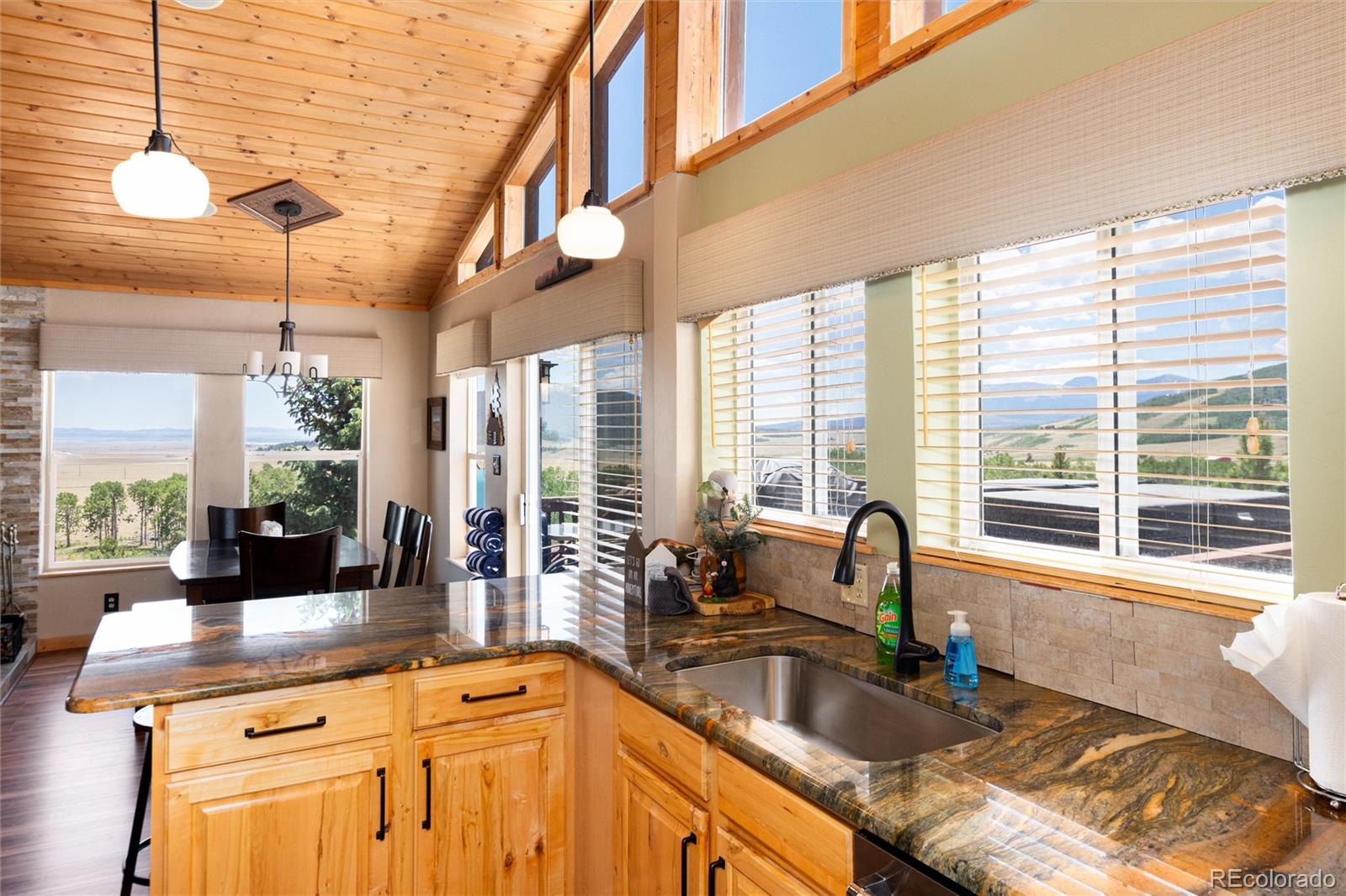 MLS Image #2 for 1301  sheep ridge road,fairplay, Colorado