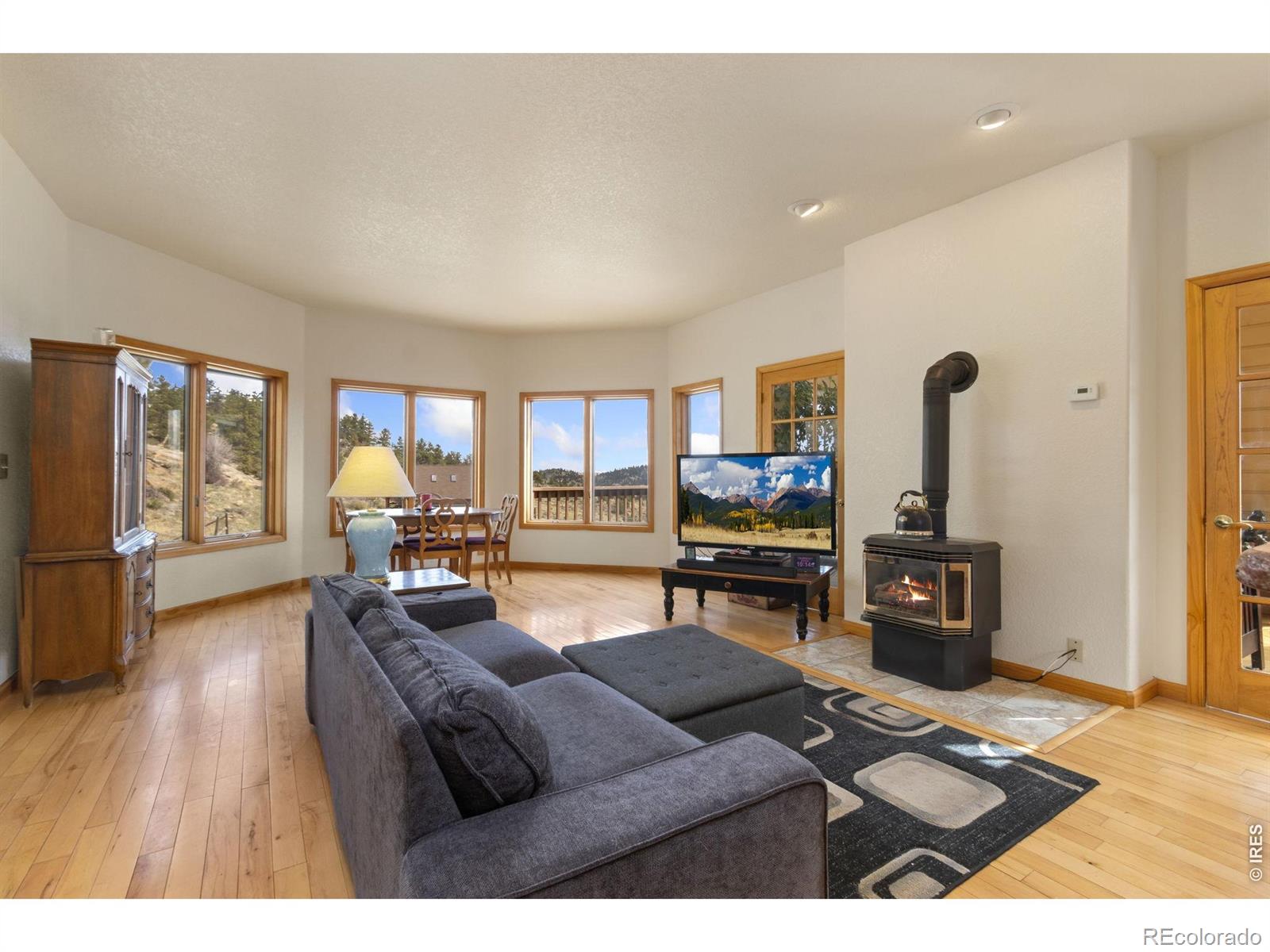 MLS Image #6 for 331  laplata drive,livermore, Colorado