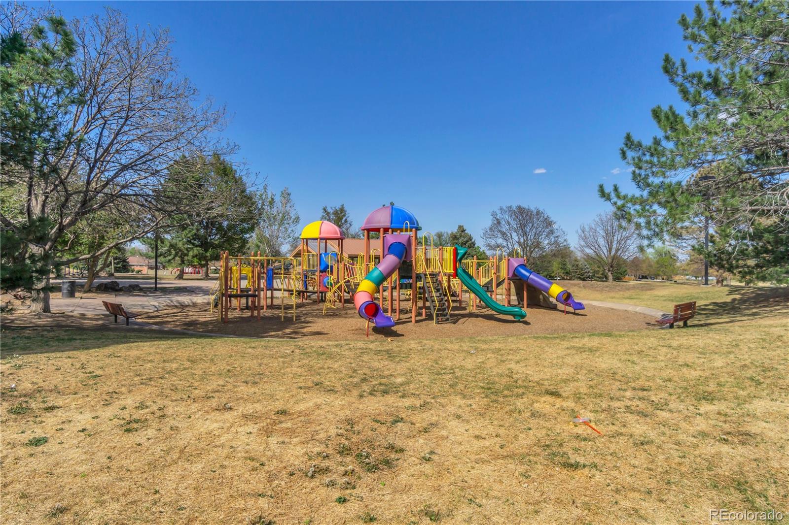 MLS Image #41 for 31  jay street,lakewood, Colorado