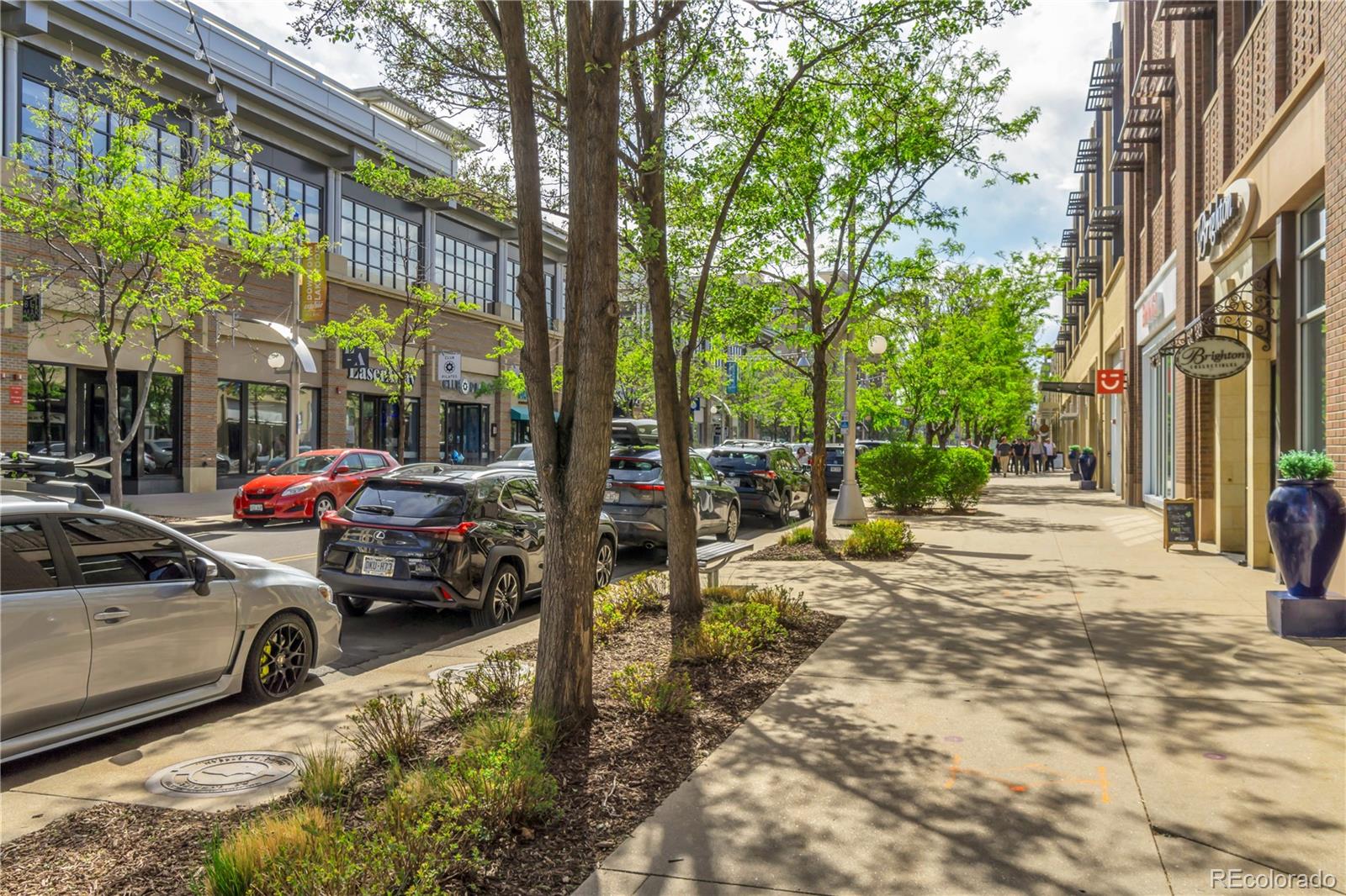 MLS Image #44 for 31  jay street,lakewood, Colorado
