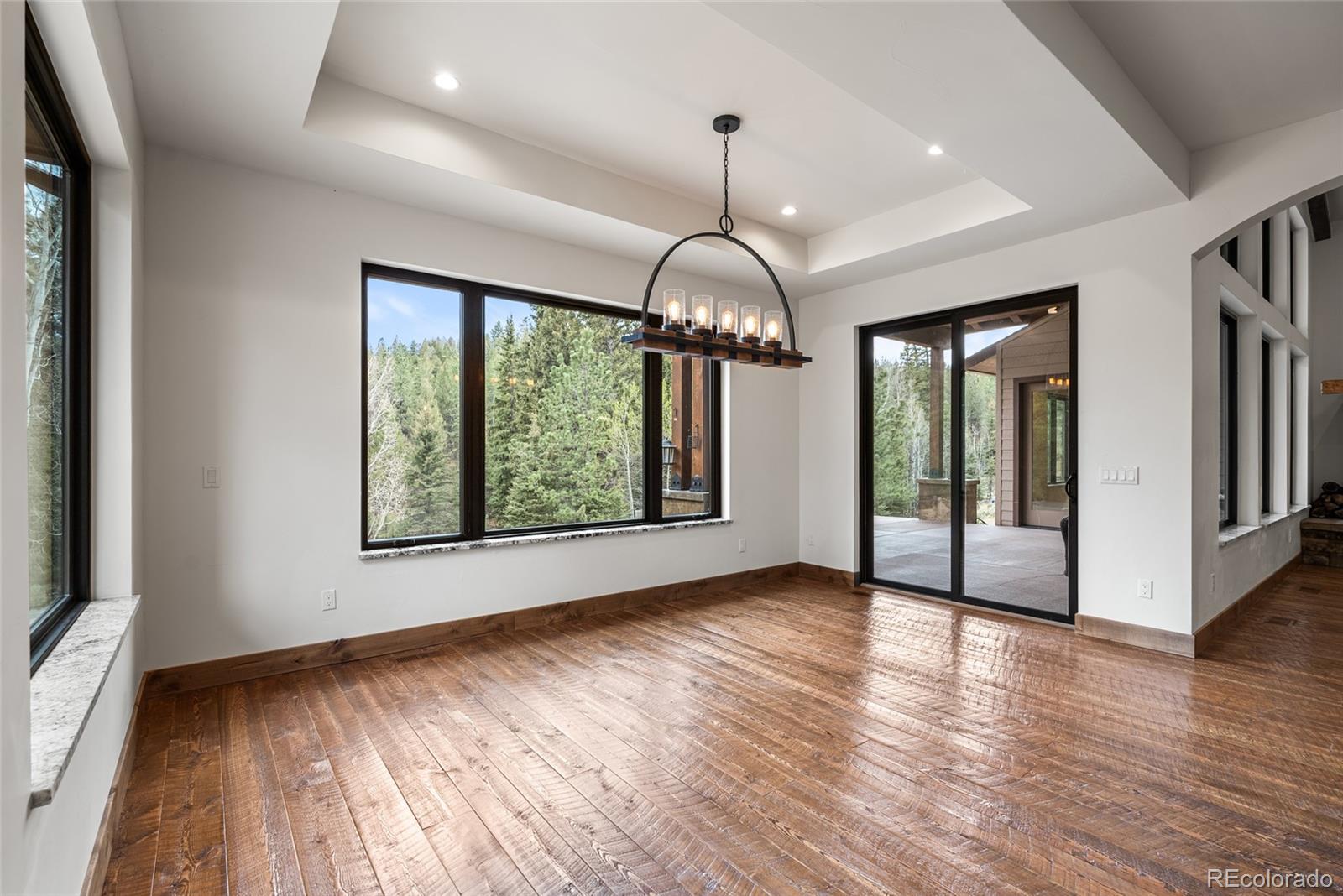 MLS Image #15 for 280  double tree road,bailey, Colorado