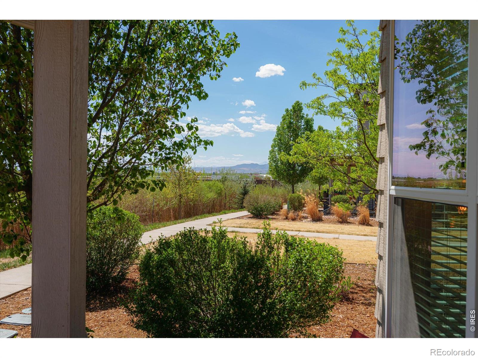 MLS Image #2 for 2245  shandy street,fort collins, Colorado