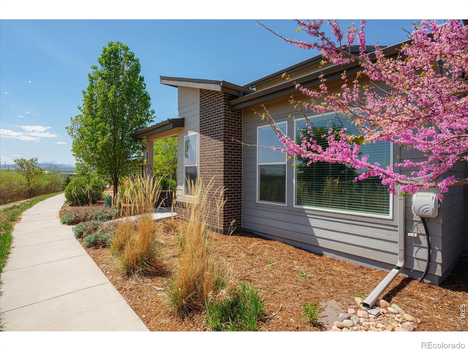 MLS Image #25 for 2245  shandy street,fort collins, Colorado