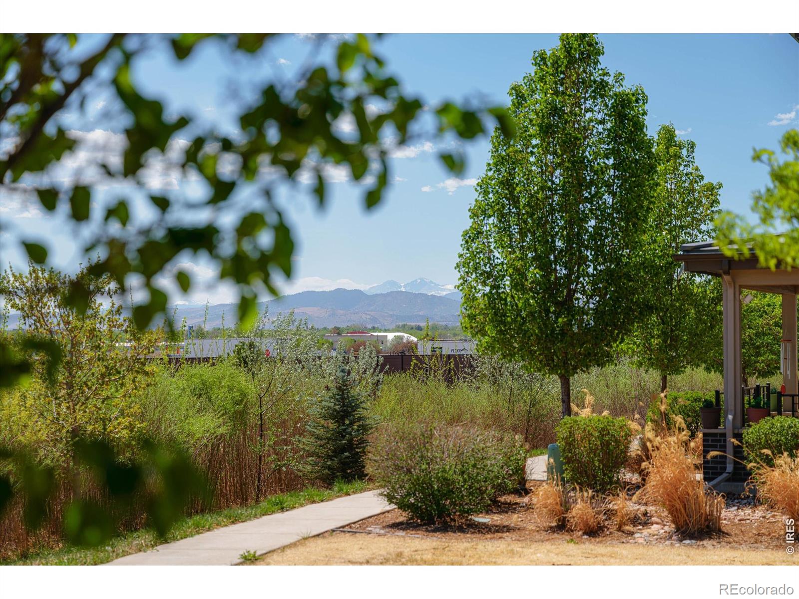MLS Image #27 for 2245  shandy street,fort collins, Colorado