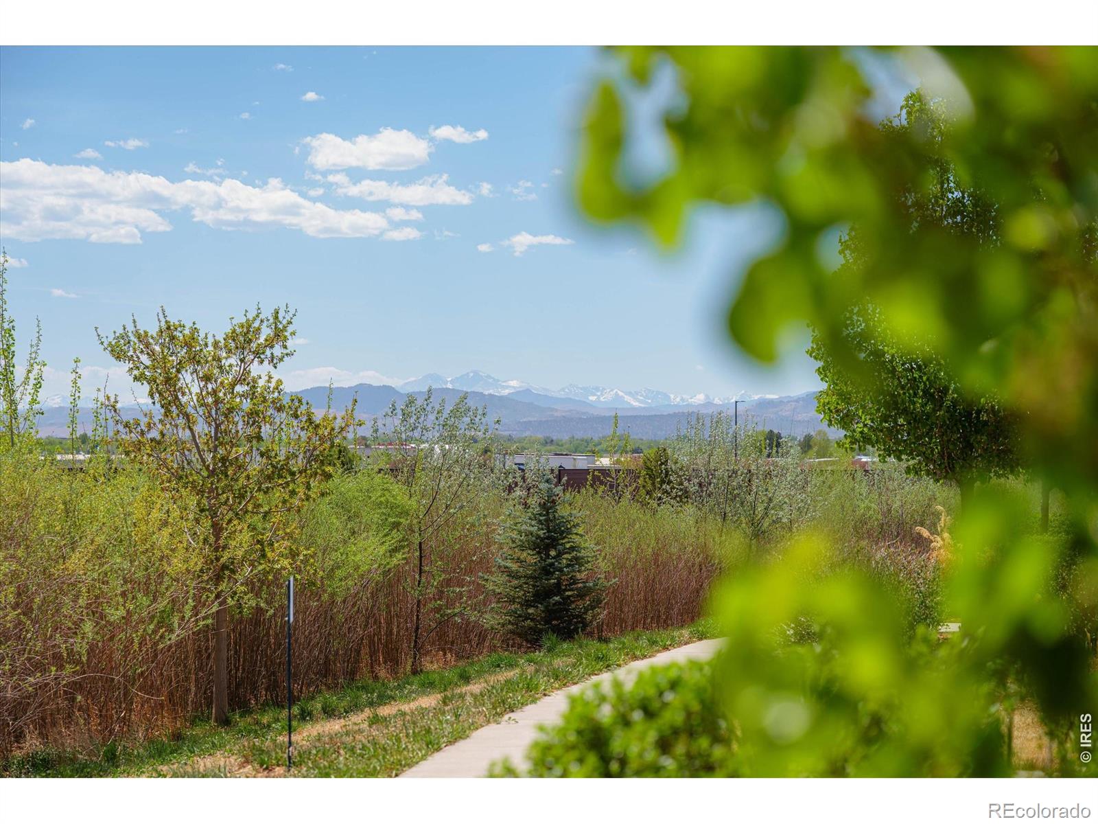 MLS Image #28 for 2245  shandy street,fort collins, Colorado