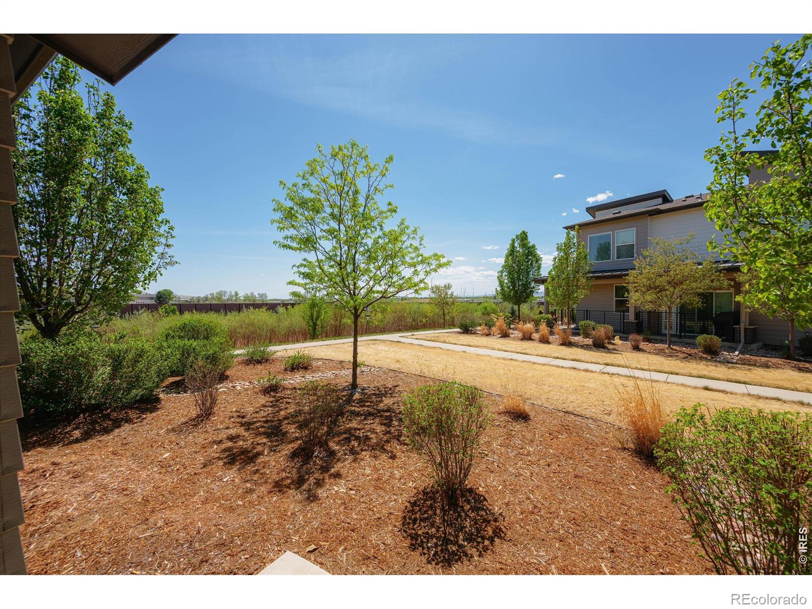 MLS Image #30 for 2245  shandy street,fort collins, Colorado