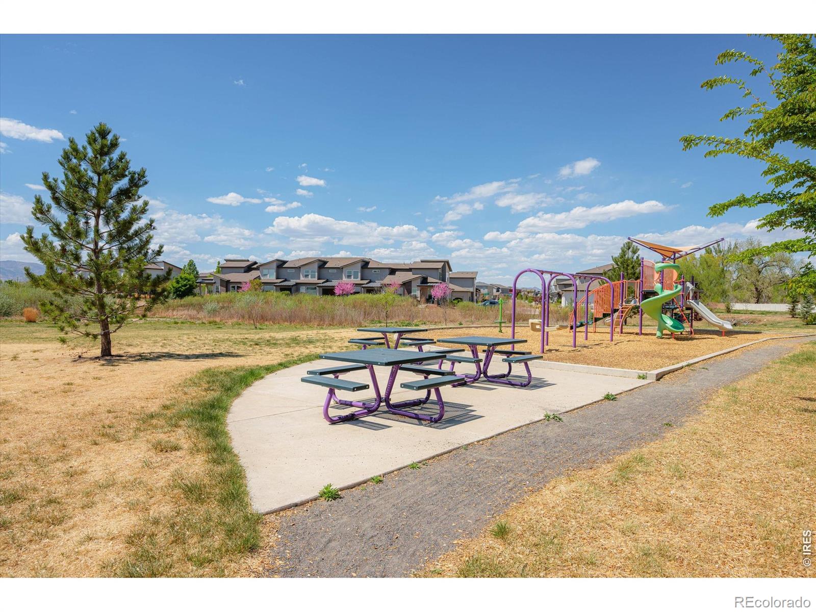 MLS Image #33 for 2245  shandy street,fort collins, Colorado
