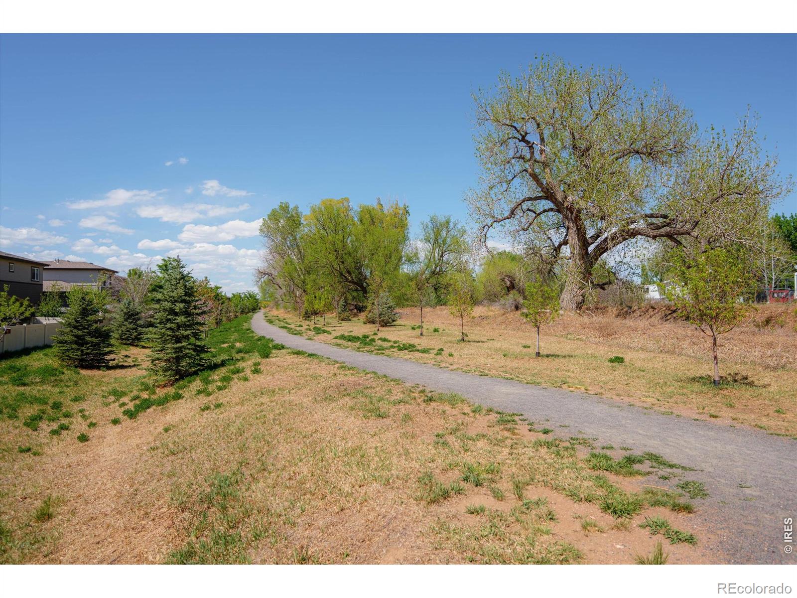 MLS Image #34 for 2245  shandy street,fort collins, Colorado