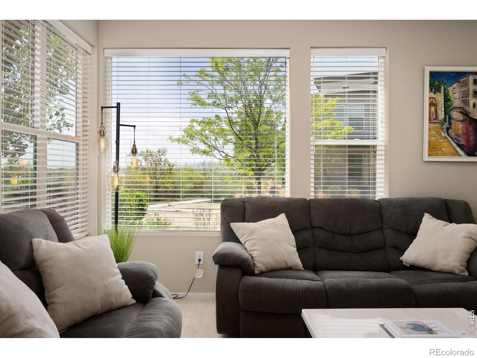 MLS Image #6 for 2245  shandy street,fort collins, Colorado