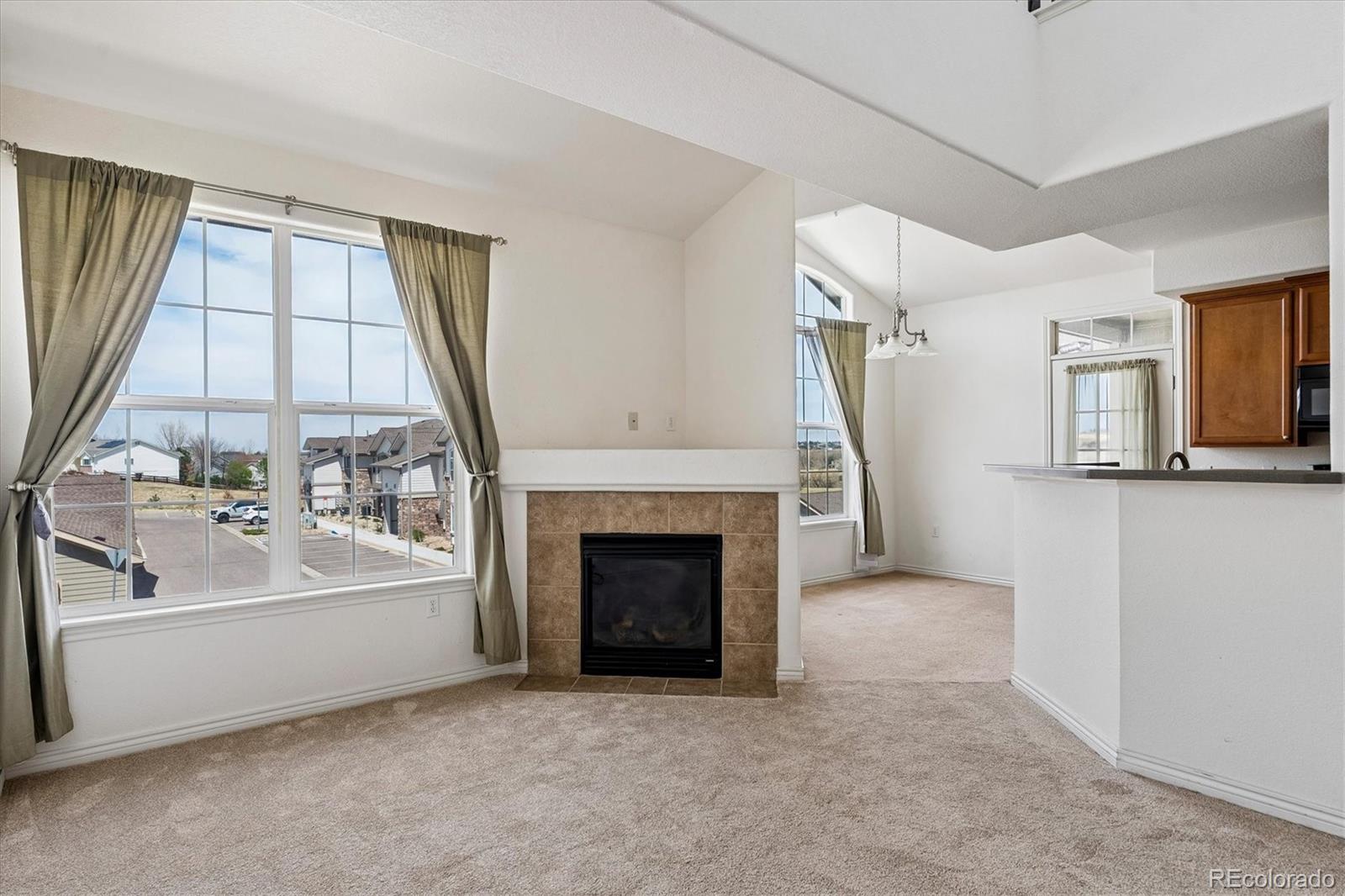 MLS Image #5 for 18657  stroh road,parker, Colorado