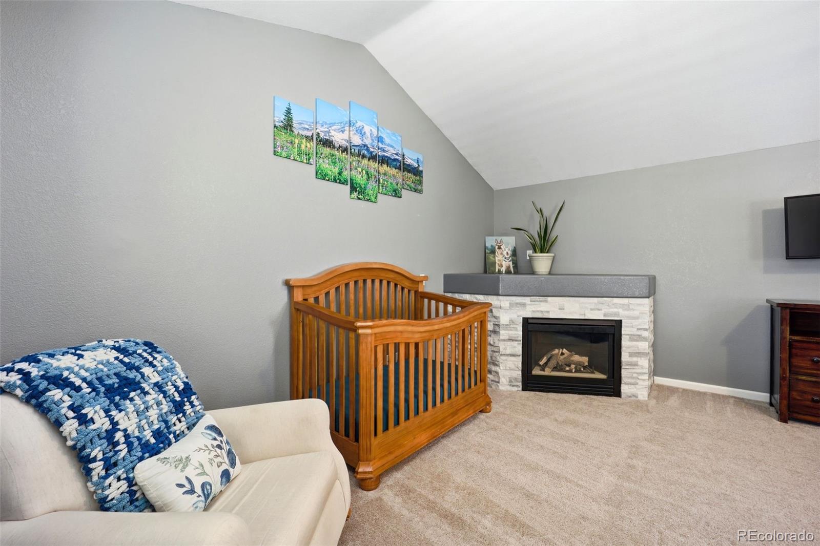 MLS Image #20 for 11064  blackwolf lane,parker, Colorado