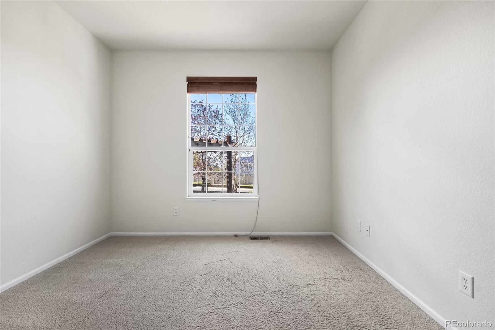MLS Image #14 for 23149  timber spring lane,parker, Colorado