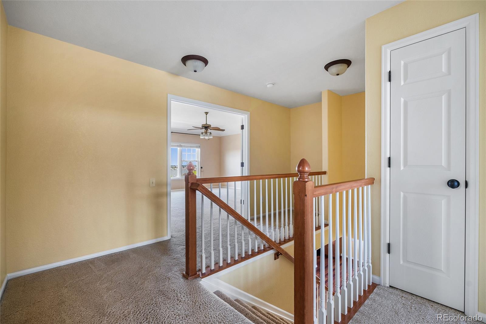 MLS Image #18 for 23149  timber spring lane,parker, Colorado