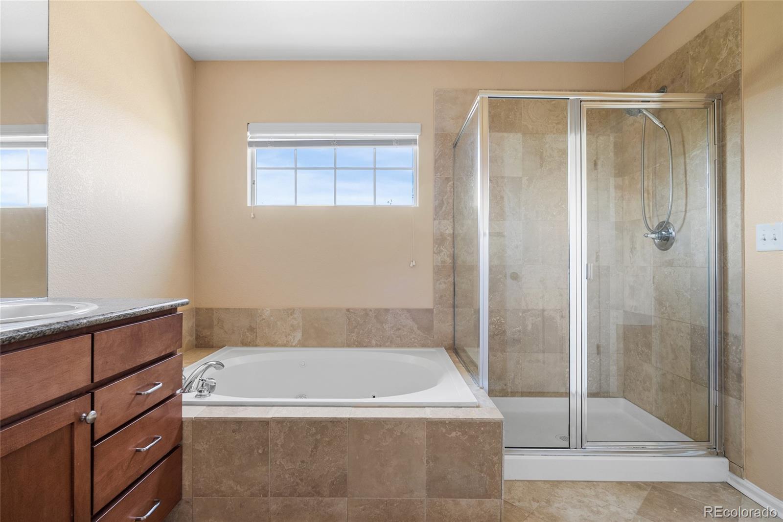 MLS Image #21 for 23149  timber spring lane,parker, Colorado