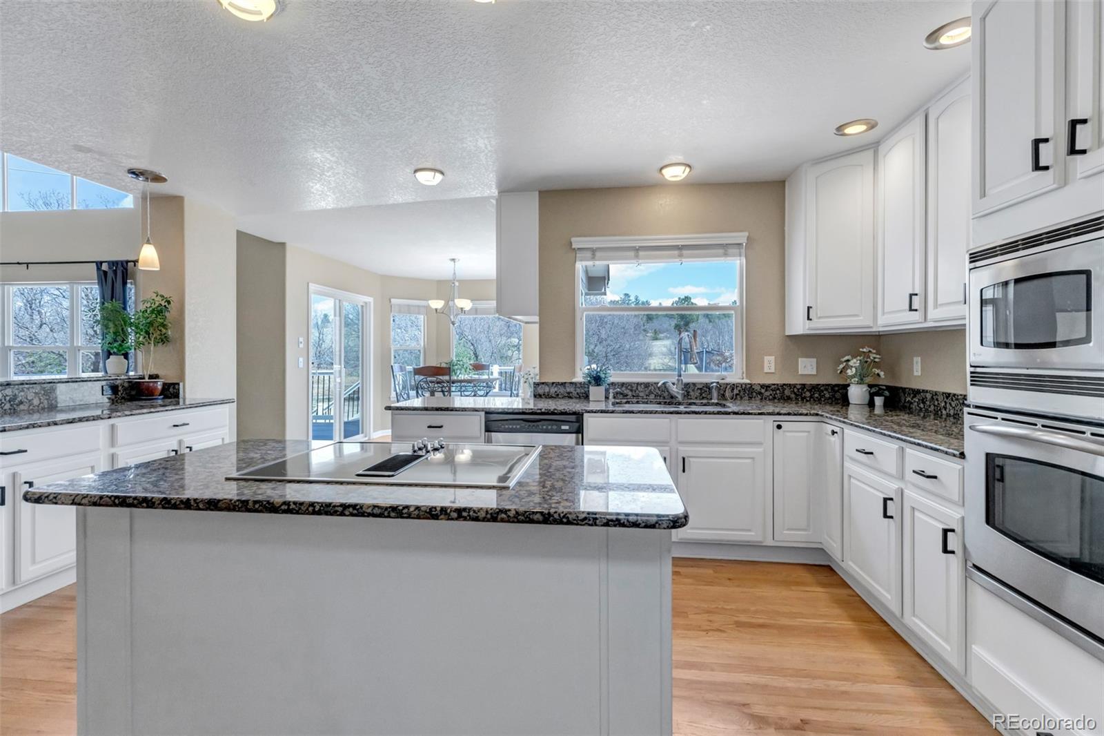 MLS Image #10 for 1645  birchleaf court,castle rock, Colorado