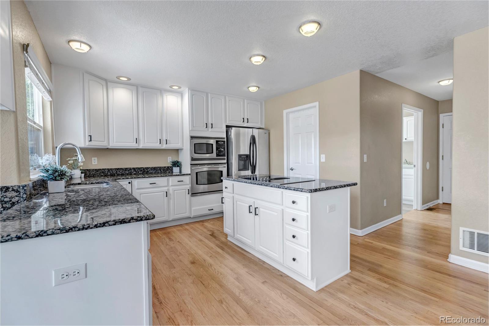MLS Image #11 for 1645  birchleaf court,castle rock, Colorado