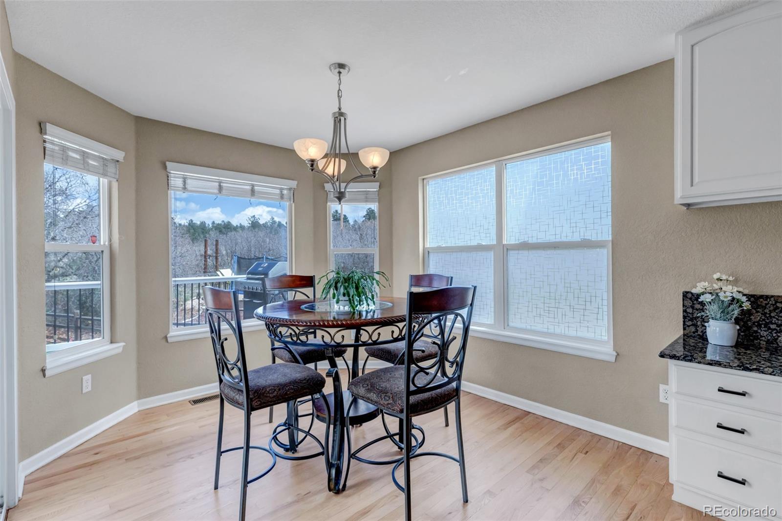 MLS Image #12 for 1645  birchleaf court,castle rock, Colorado
