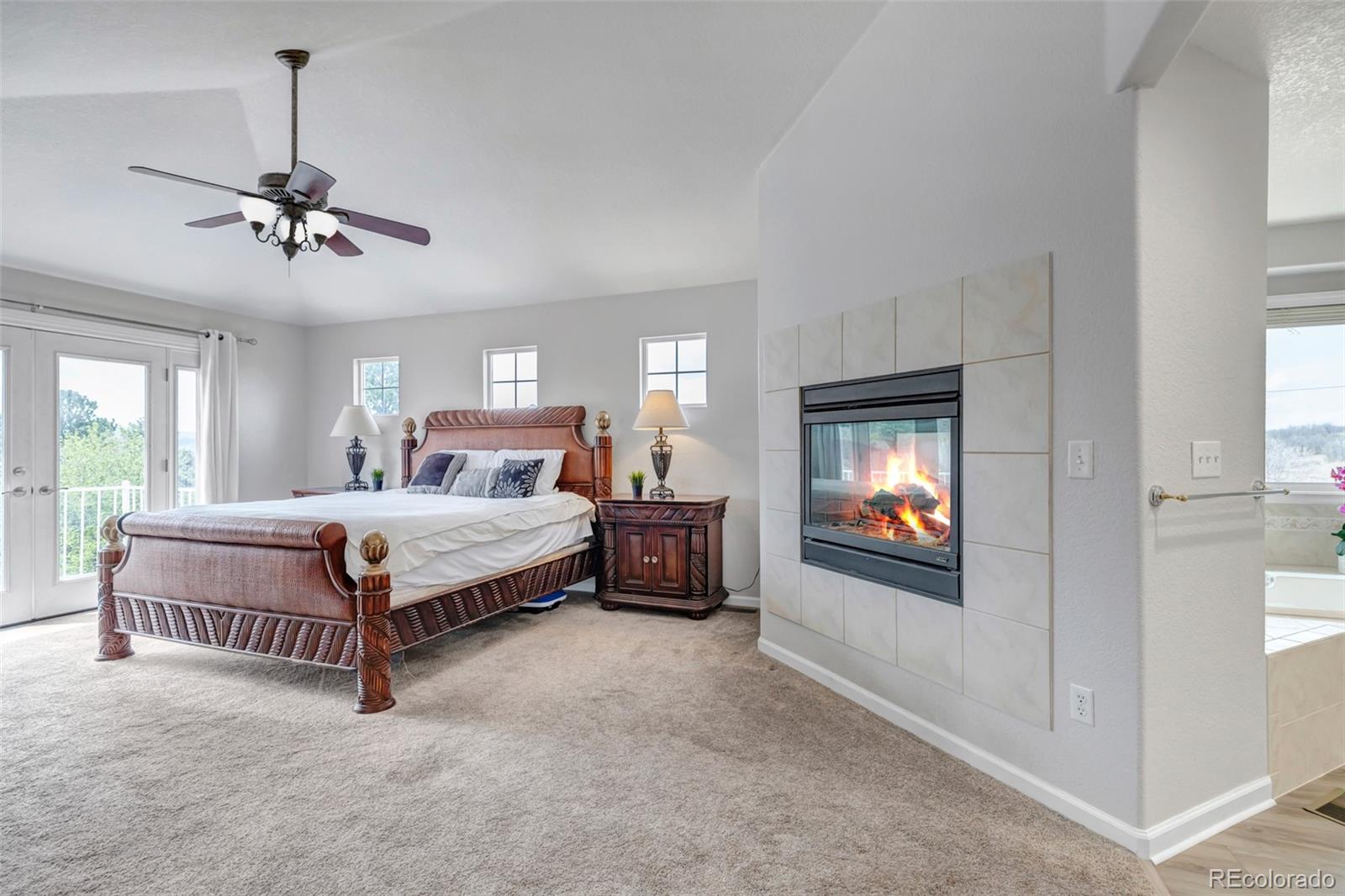 MLS Image #15 for 1645  birchleaf court,castle rock, Colorado