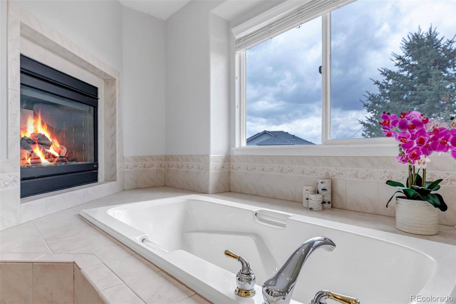 MLS Image #19 for 1645  birchleaf court,castle rock, Colorado