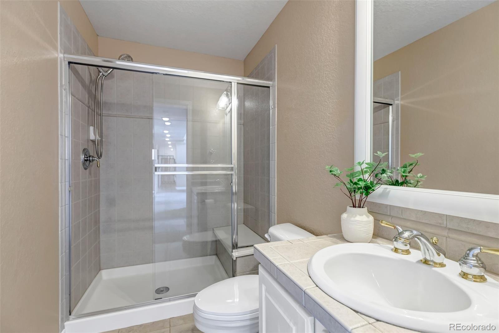 MLS Image #21 for 1645  birchleaf court,castle rock, Colorado