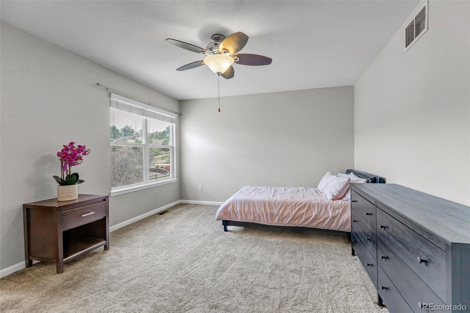 MLS Image #25 for 1645  birchleaf court,castle rock, Colorado