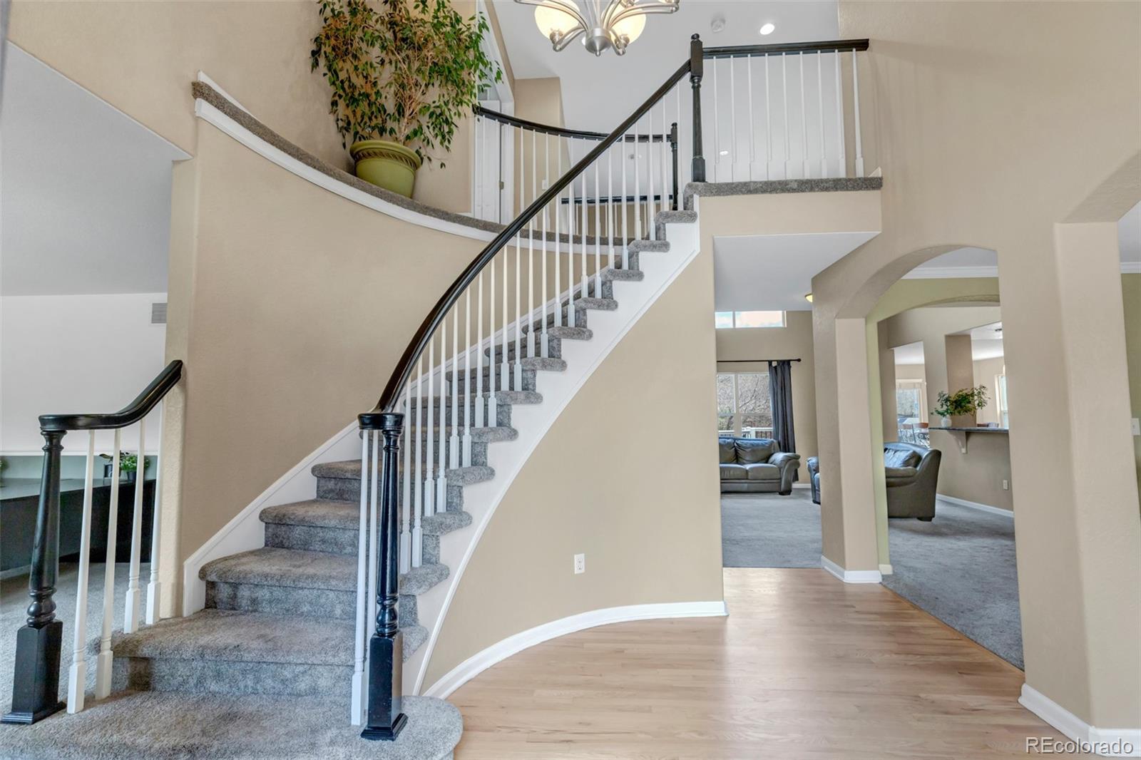 MLS Image #3 for 1645  birchleaf court,castle rock, Colorado