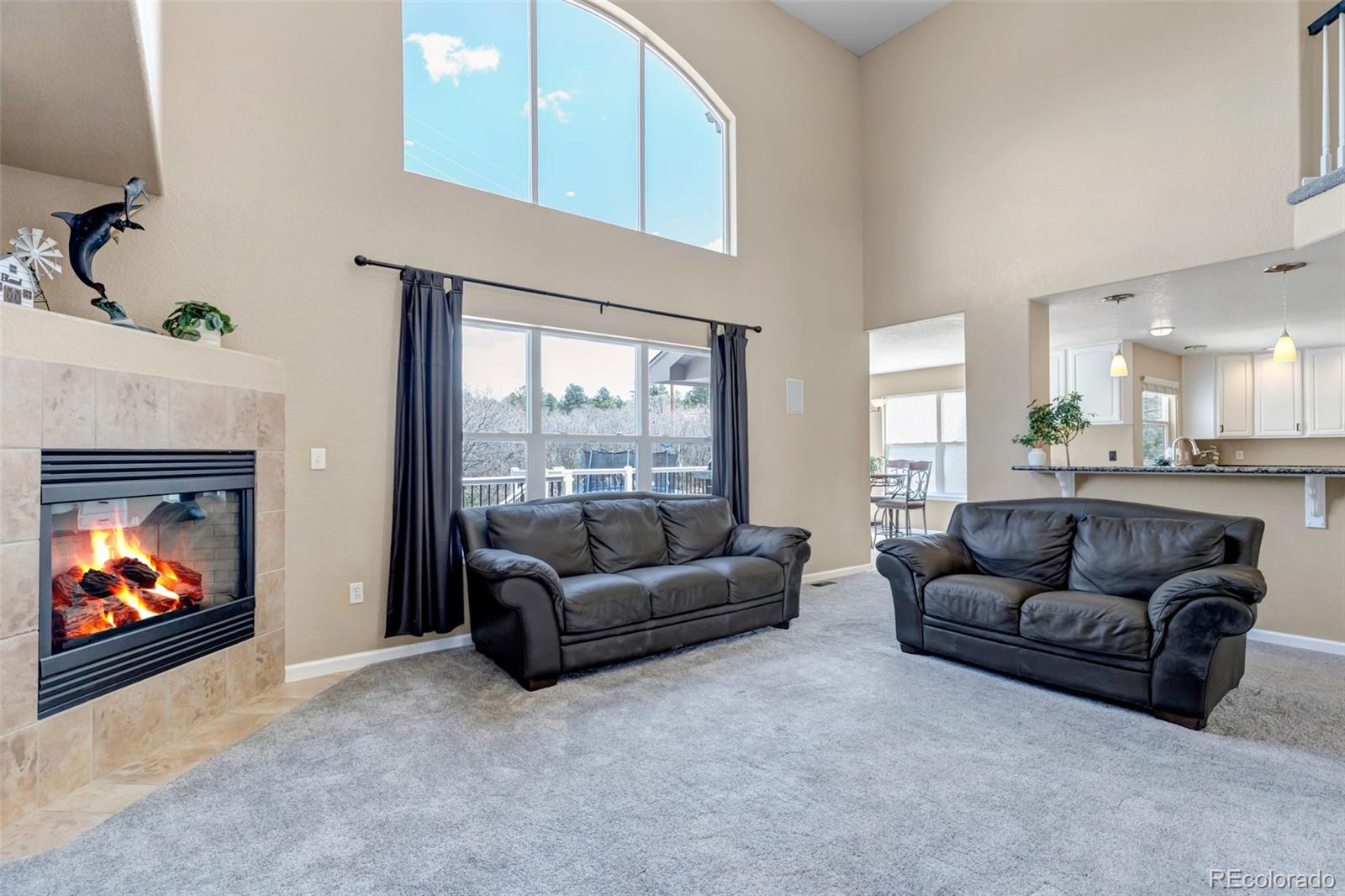 MLS Image #8 for 1645  birchleaf court,castle rock, Colorado