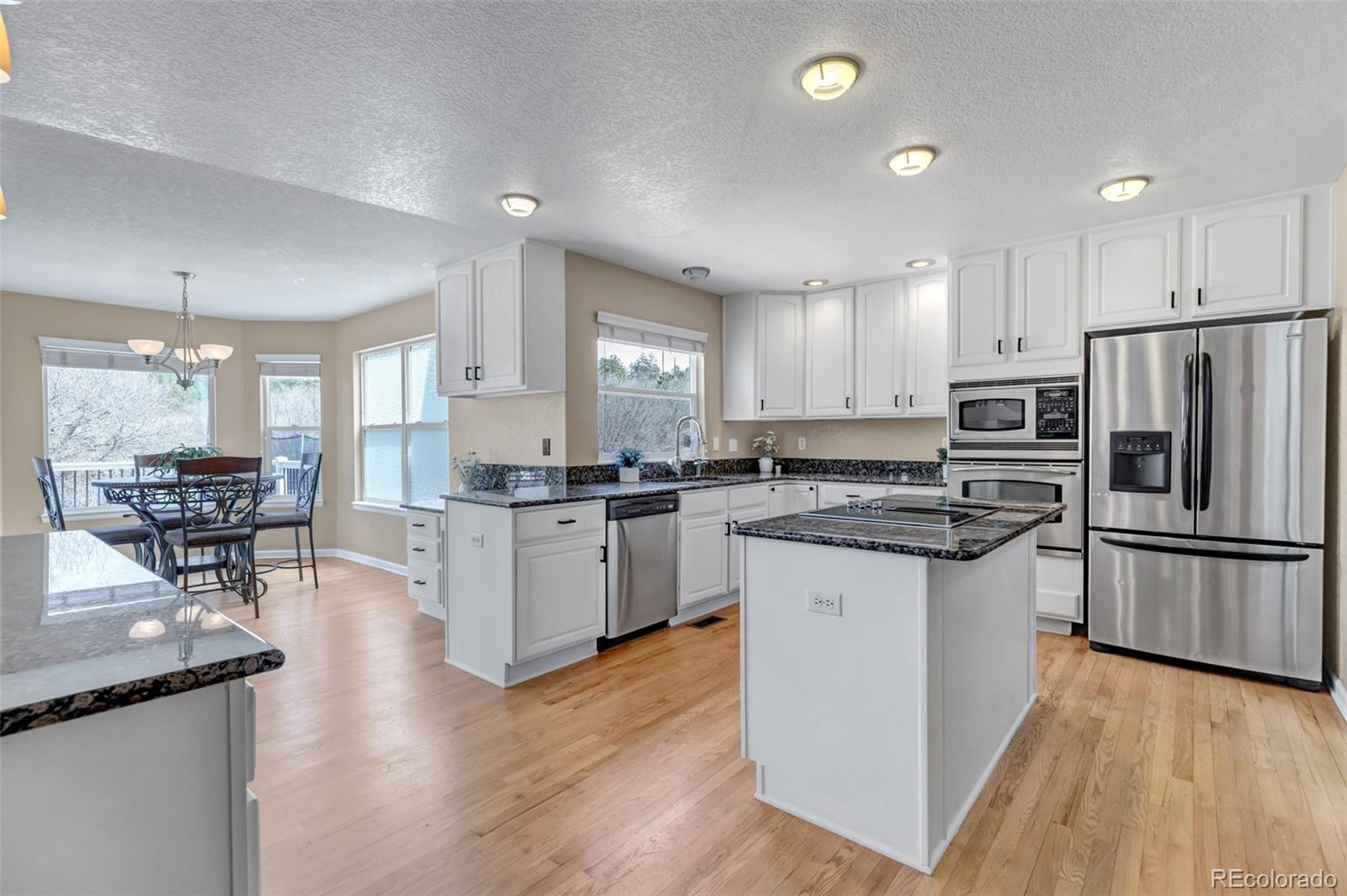 MLS Image #9 for 1645  birchleaf court,castle rock, Colorado