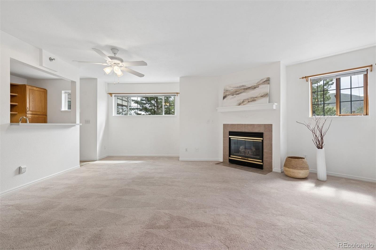 MLS Image #12 for 31819  rocky village drive,evergreen, Colorado