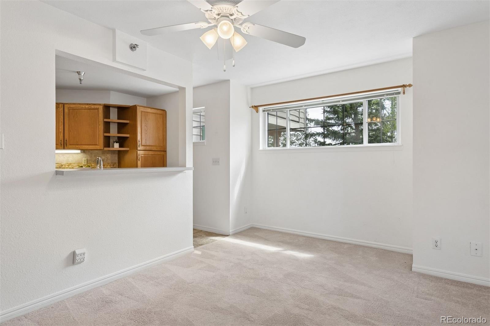MLS Image #14 for 31819  rocky village drive,evergreen, Colorado