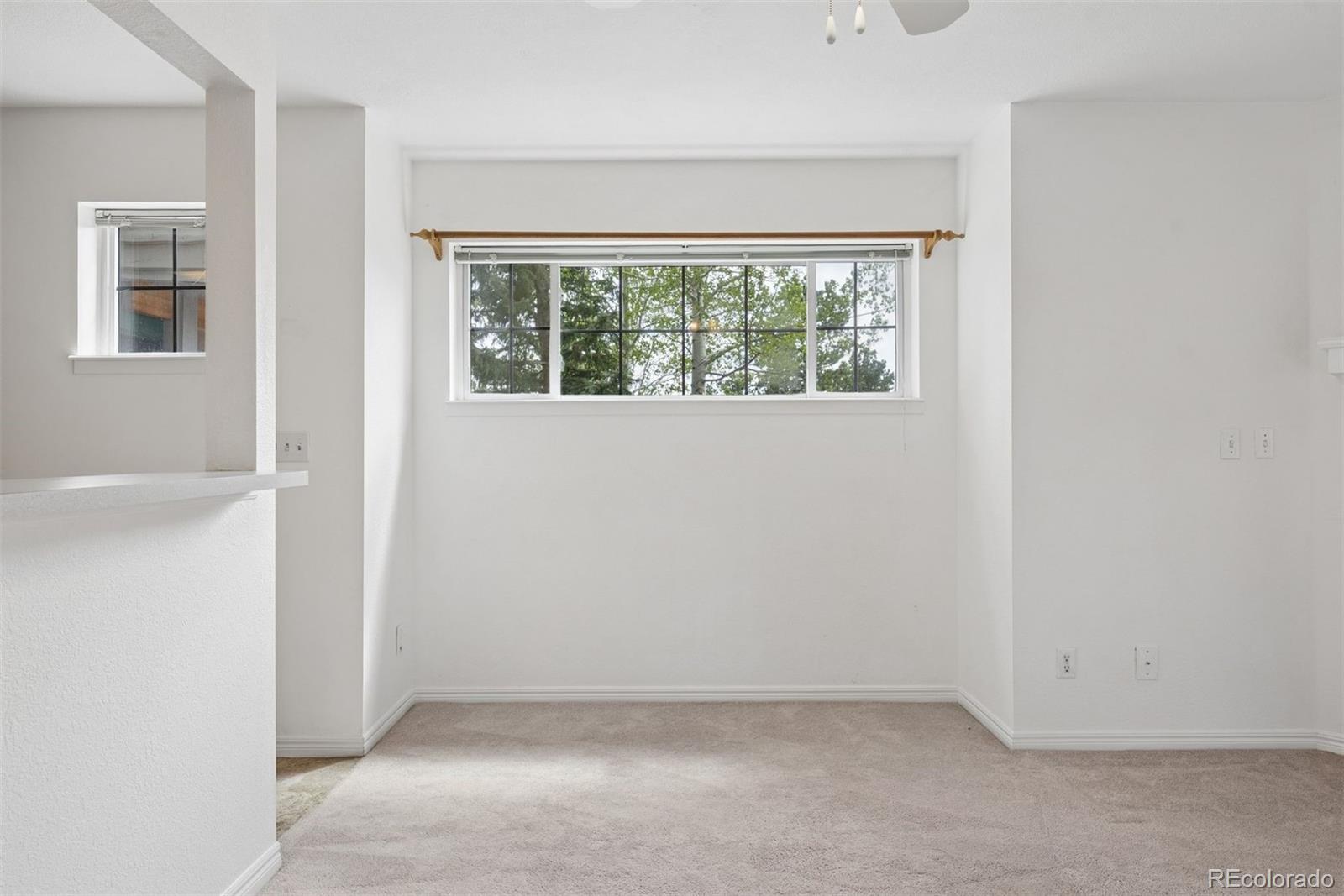 MLS Image #15 for 31819  rocky village drive,evergreen, Colorado