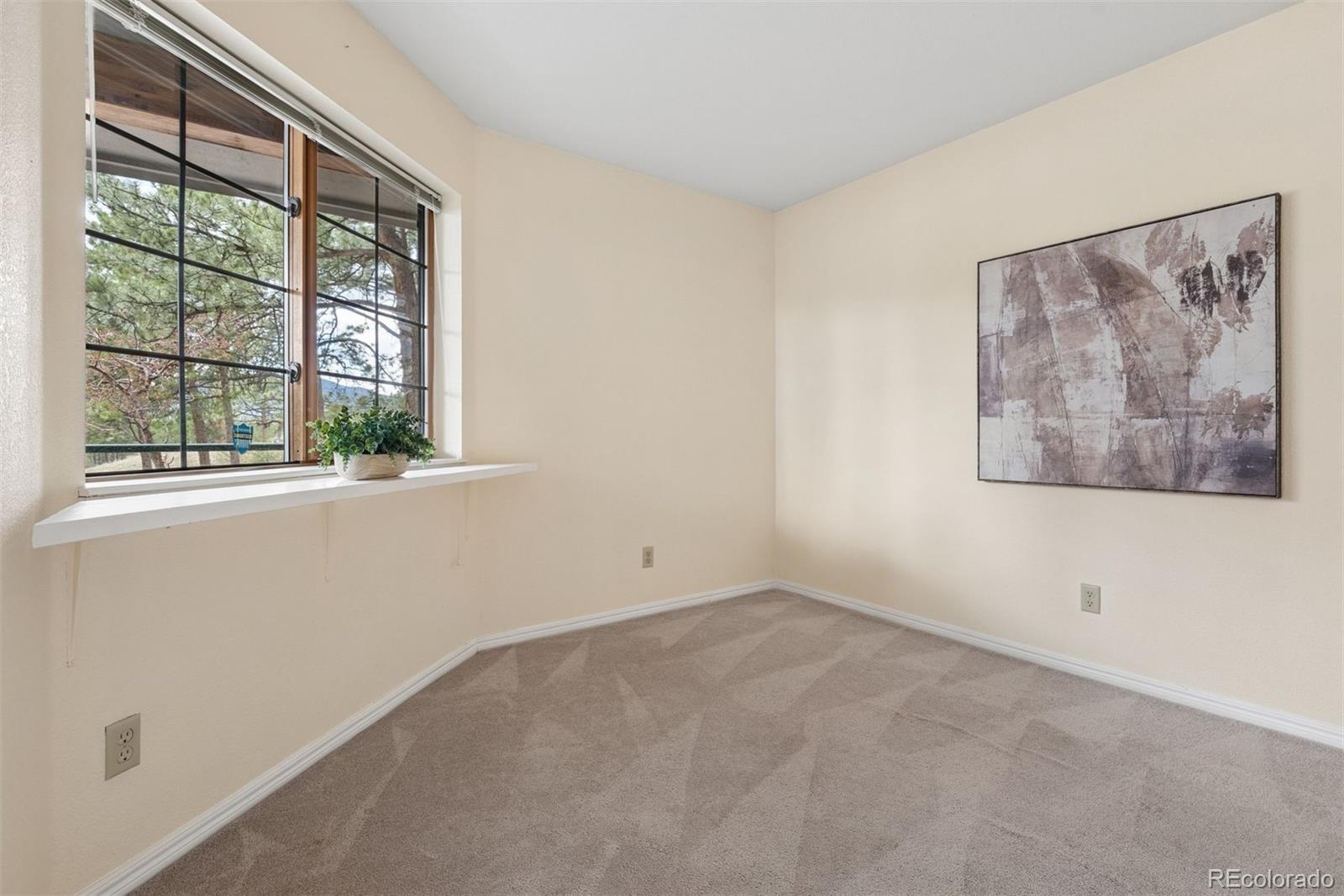 MLS Image #20 for 31819  rocky village drive,evergreen, Colorado