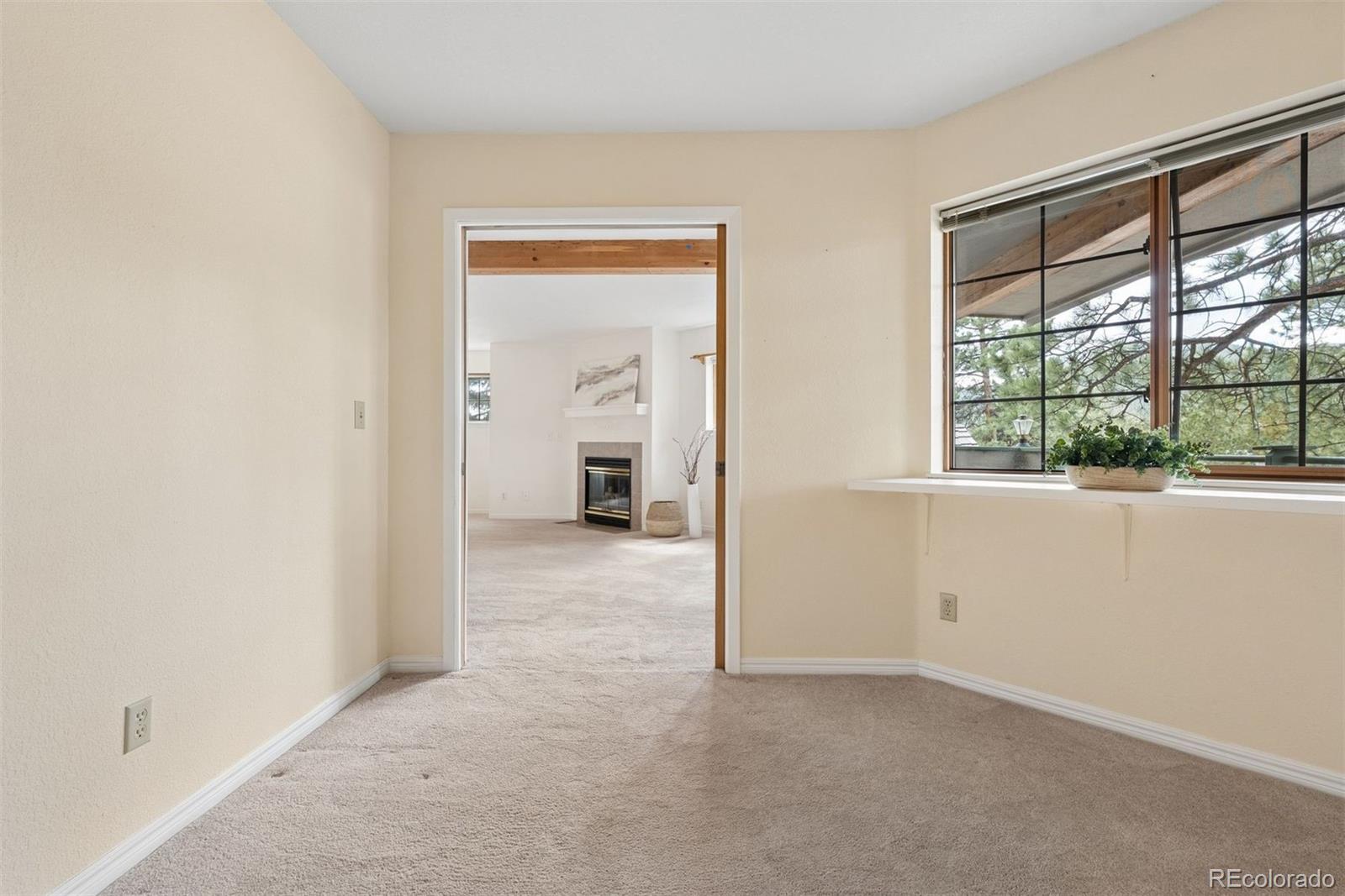 MLS Image #22 for 31819  rocky village drive,evergreen, Colorado