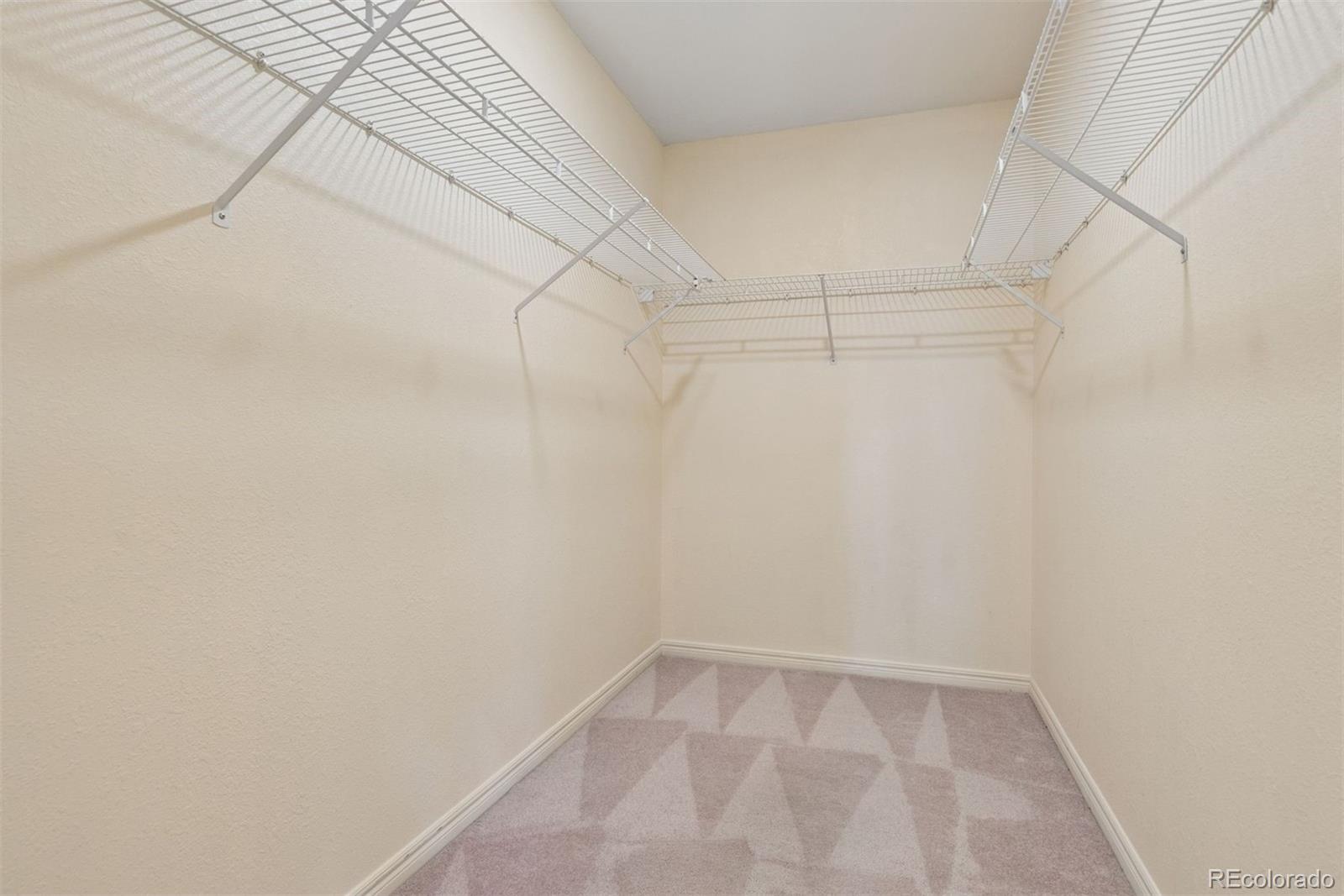 MLS Image #29 for 31819  rocky village drive,evergreen, Colorado
