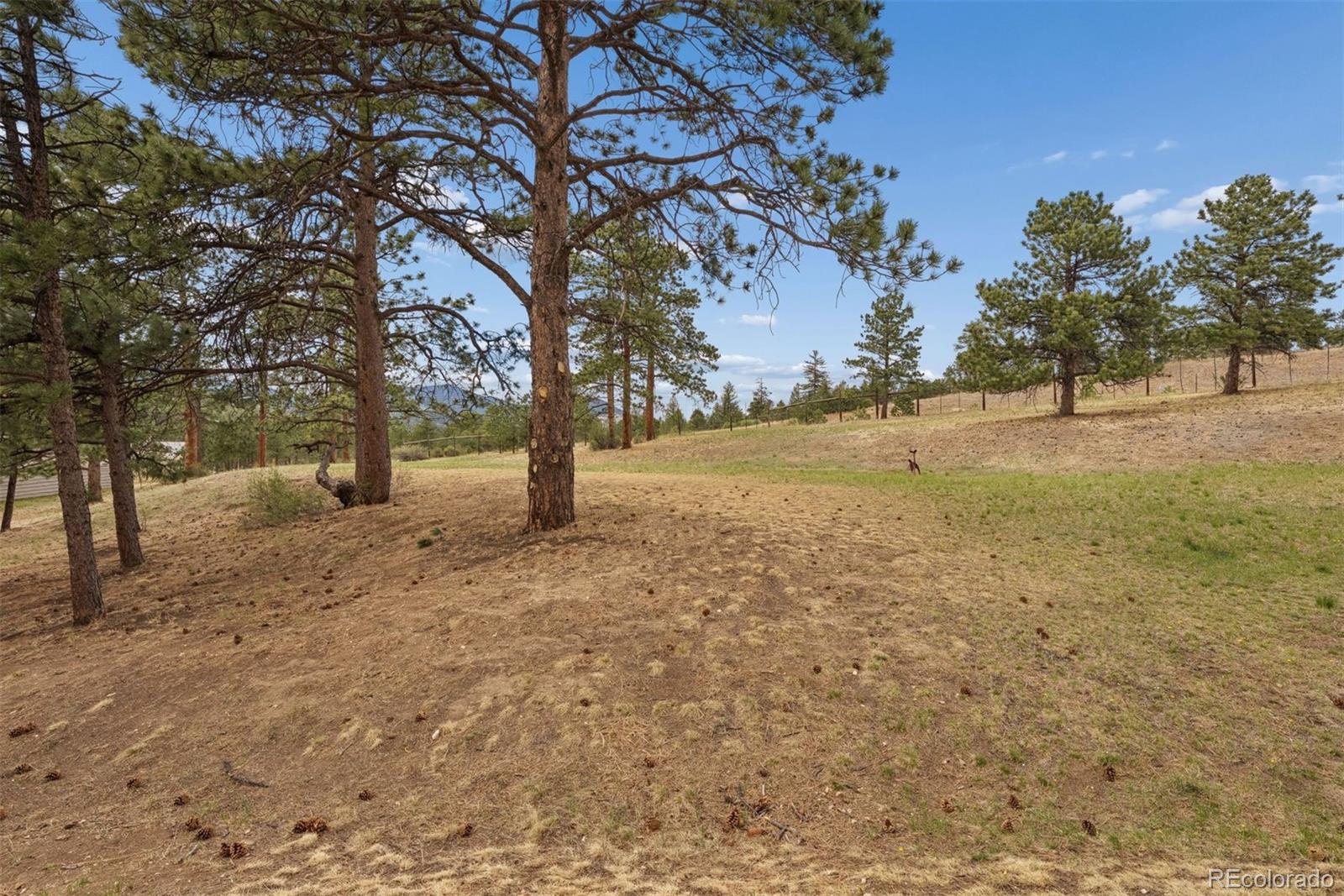 MLS Image #31 for 31819  rocky village drive,evergreen, Colorado