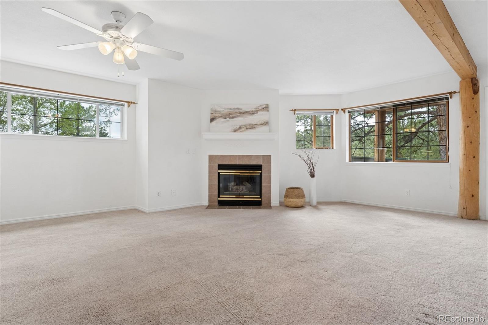 MLS Image #9 for 31819  rocky village drive,evergreen, Colorado