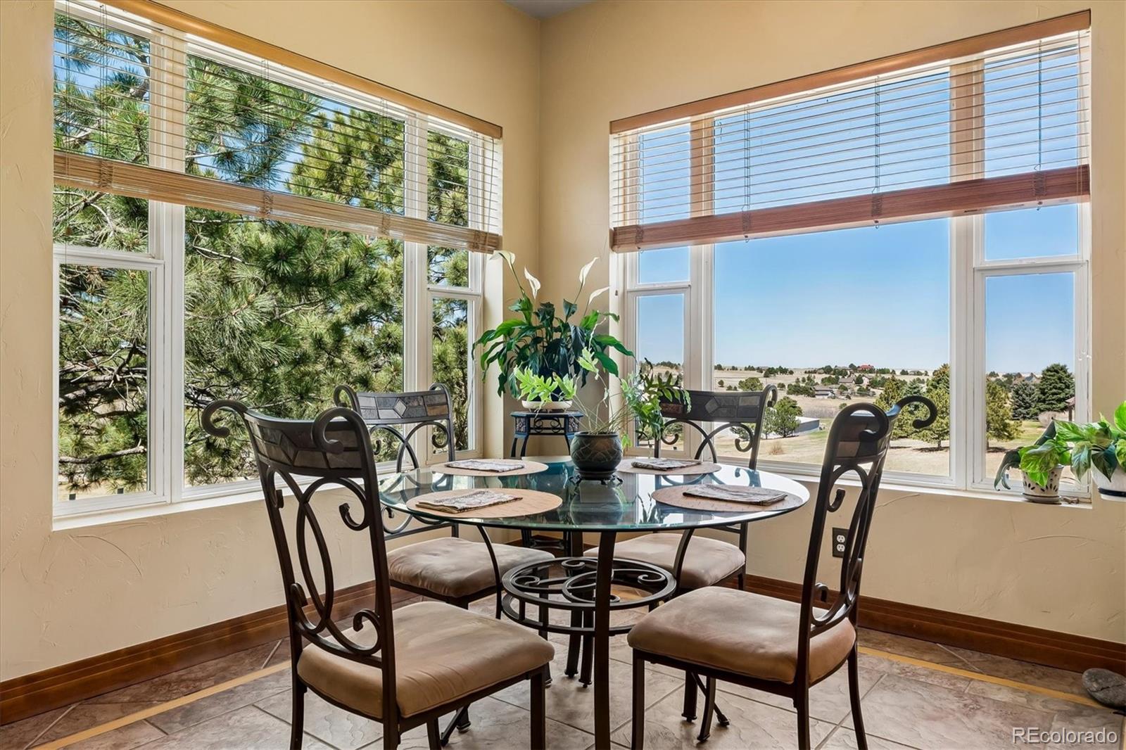 MLS Image #11 for 46527  sunset view way,parker, Colorado