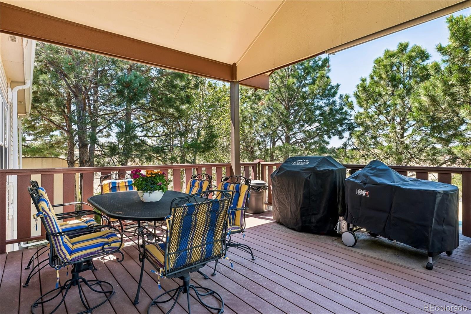 MLS Image #12 for 46527  sunset view way,parker, Colorado