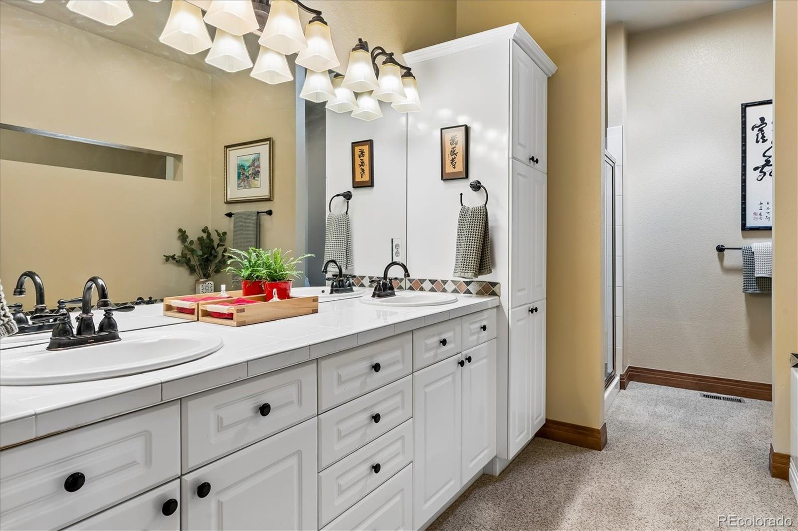 MLS Image #22 for 46527  sunset view way,parker, Colorado