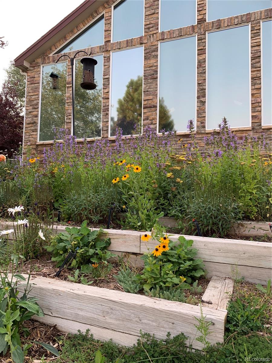 MLS Image #5 for 46527  sunset view way,parker, Colorado