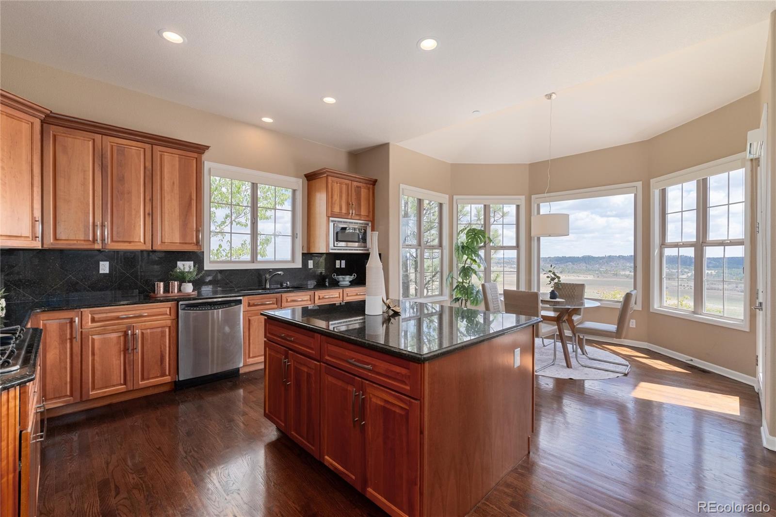 MLS Image #10 for 6250  shavano peak way,castle rock, Colorado