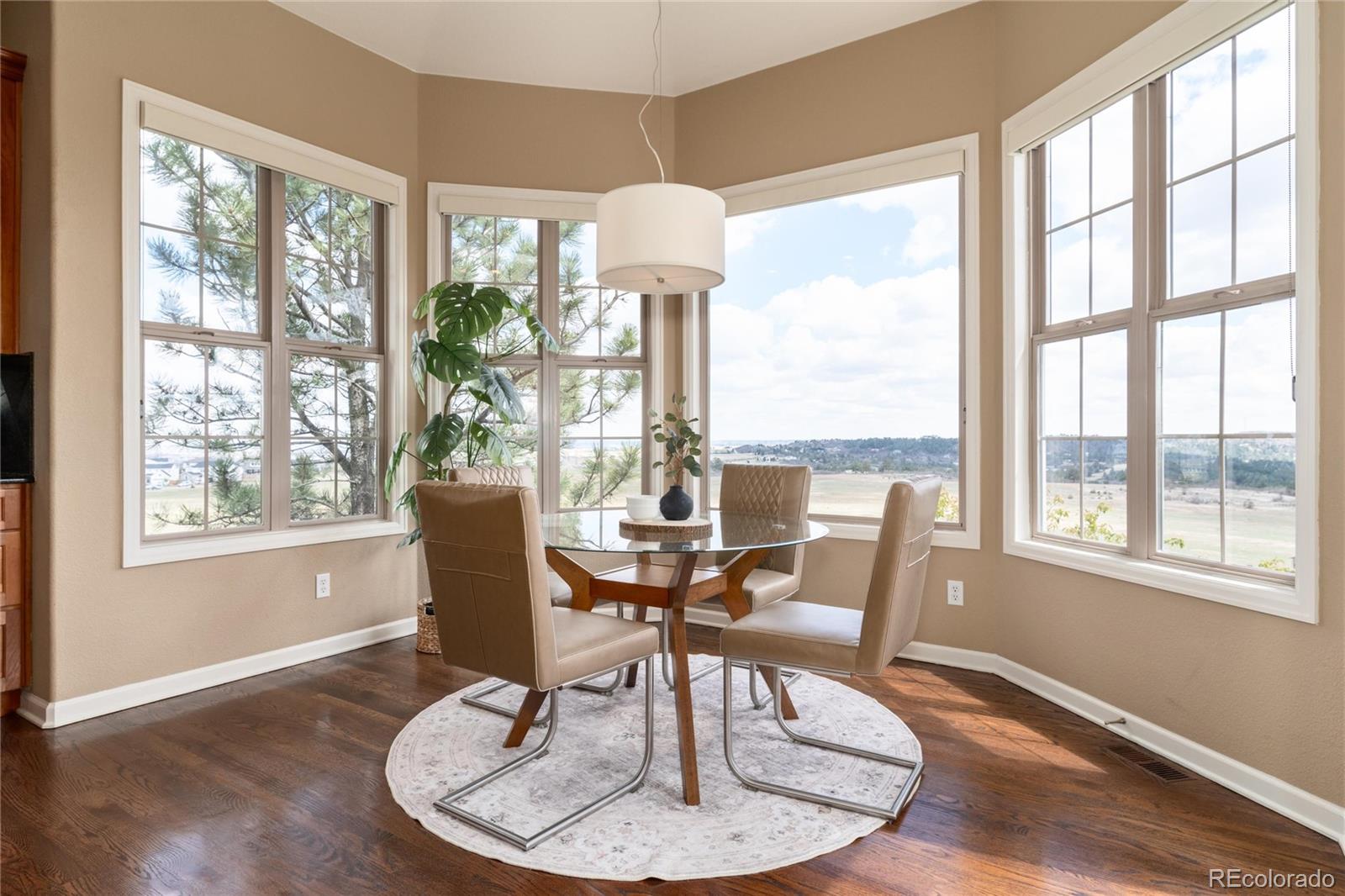MLS Image #16 for 6250  shavano peak way,castle rock, Colorado