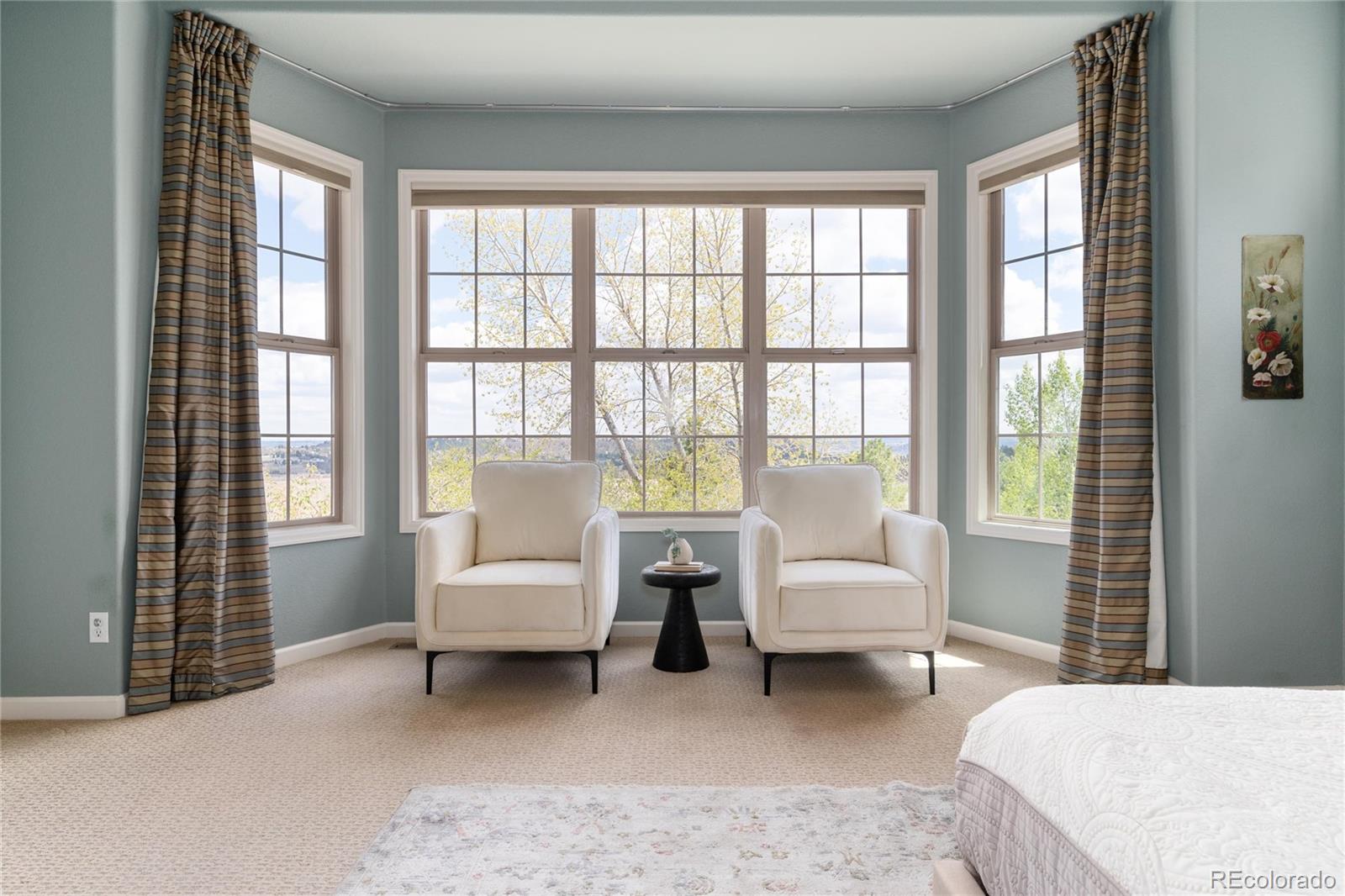 MLS Image #19 for 6250  shavano peak way,castle rock, Colorado