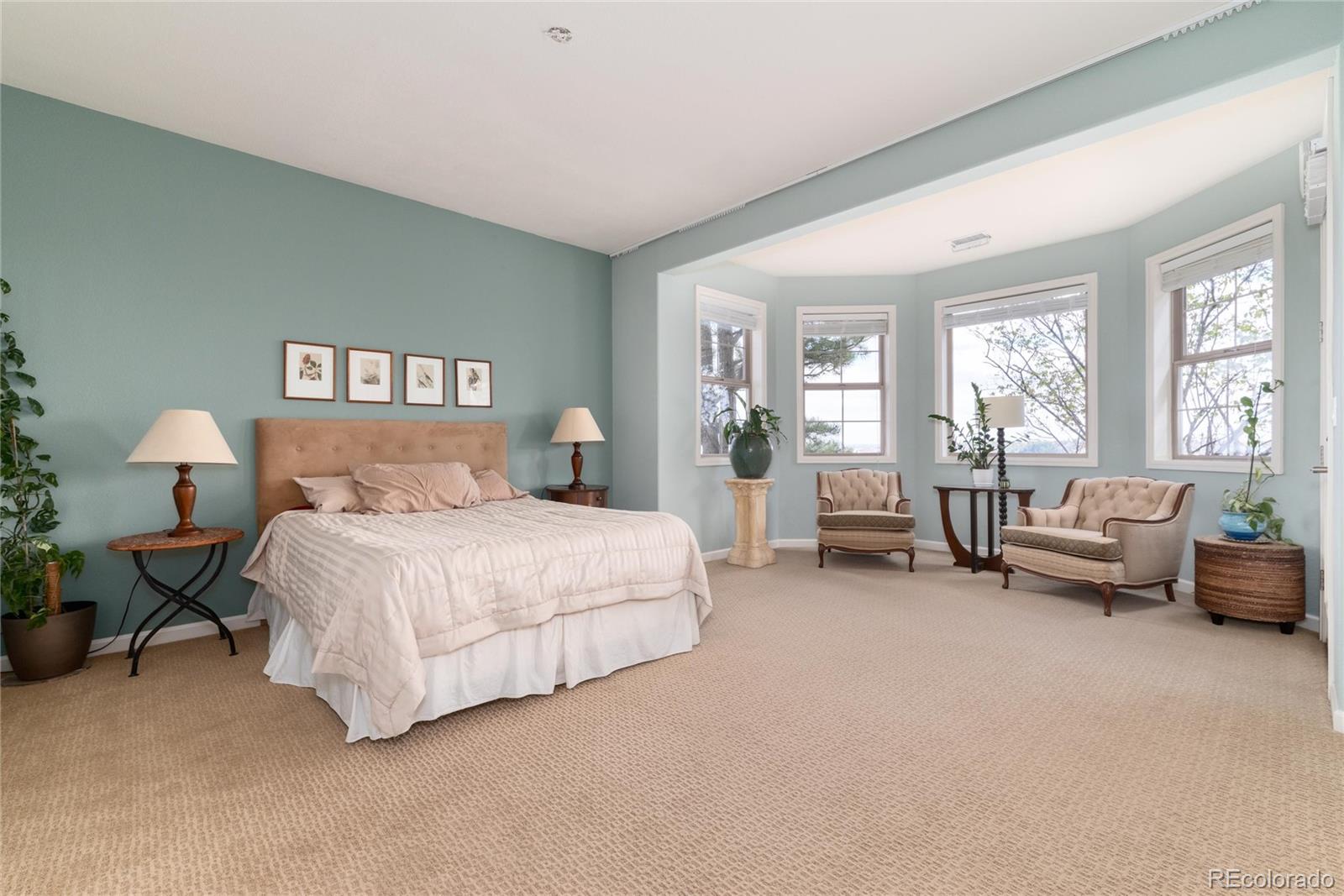 MLS Image #24 for 6250  shavano peak way,castle rock, Colorado