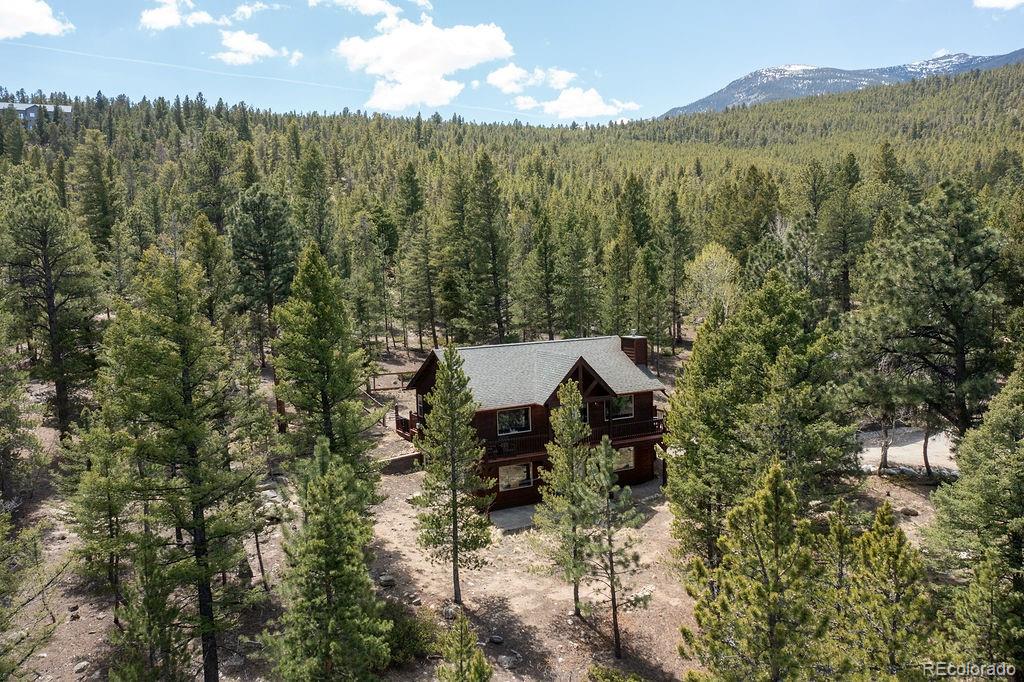 MLS Image #0 for 30433  national forest drive,buena vista, Colorado