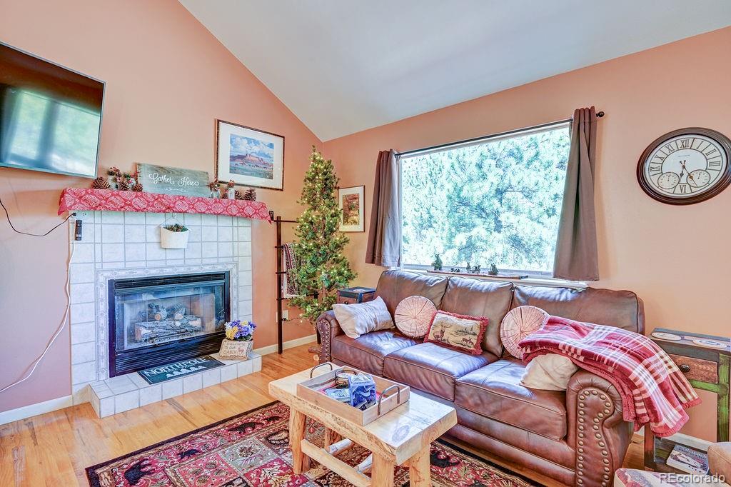 MLS Image #13 for 30433  national forest drive,buena vista, Colorado