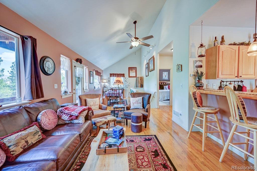 MLS Image #14 for 30433  national forest drive,buena vista, Colorado